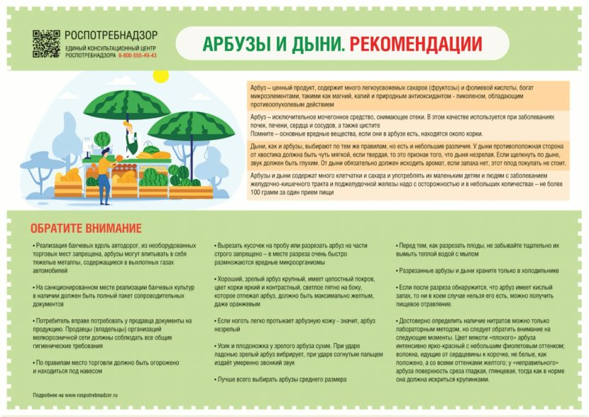 Арбузы и Дыни