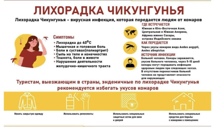 Лихорадка Чикунгунья